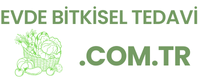 evdebitkiseltedavi.com.tr